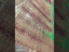 Machine de revêtement PVD des montures de lunettes en alliage de titane