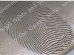 Système de métallisation sous vide élevé, unité de revêtement par évaporation thermique pour l'imagerie des empreintes digitales